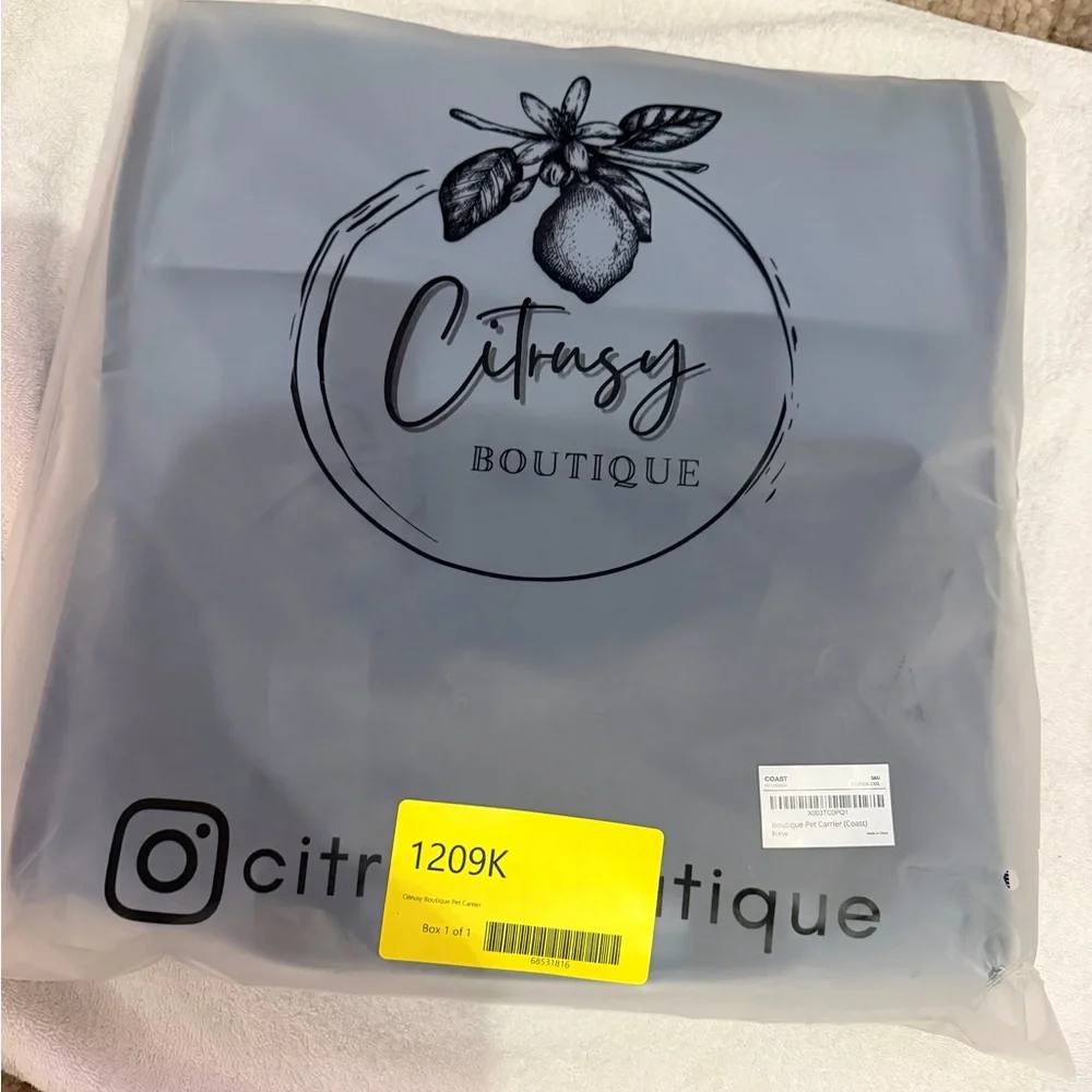 Citrusy Stylish Blue Small Dog Travel Carrier Car Seat